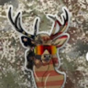 Meet your Posher, Jack